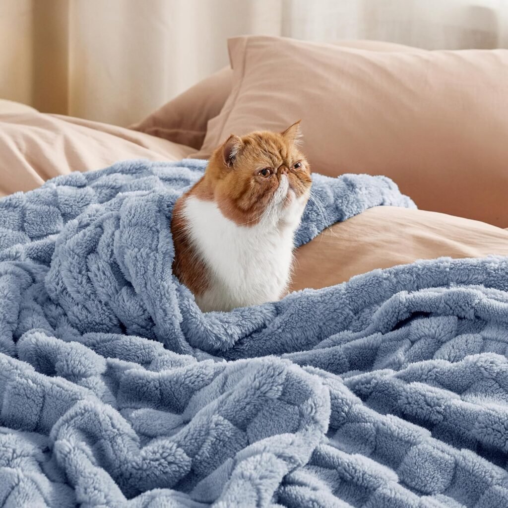 Best Fleece Blanket for Couch and bed